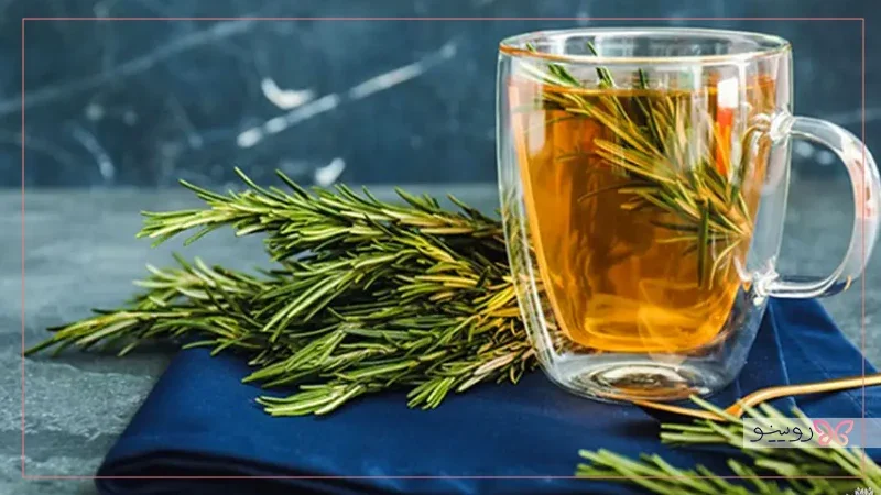 دمنوش لاغری رزماری، تنظیم‌کننده هضم و چربی‌سوز طبیعی